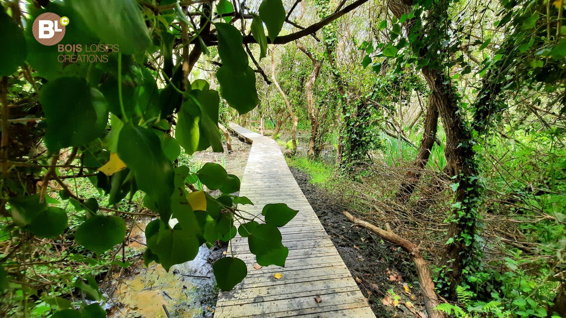 marais de Quellen 3